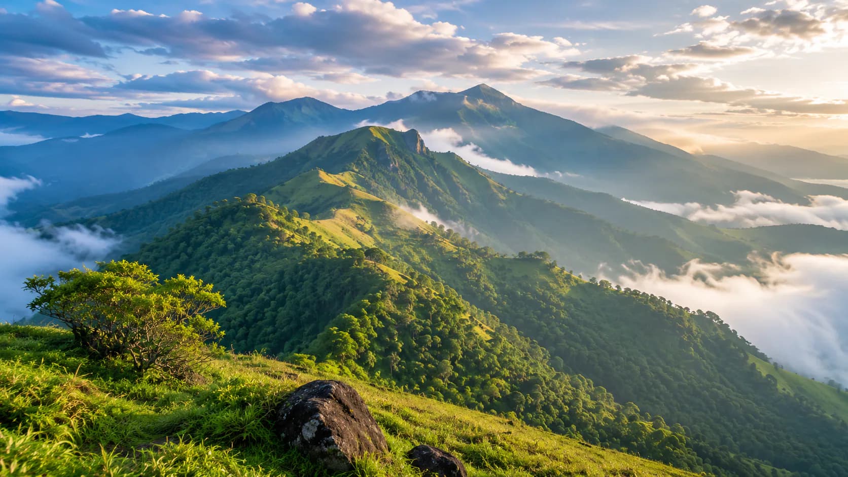 Munnar and Kerala scenic mountains